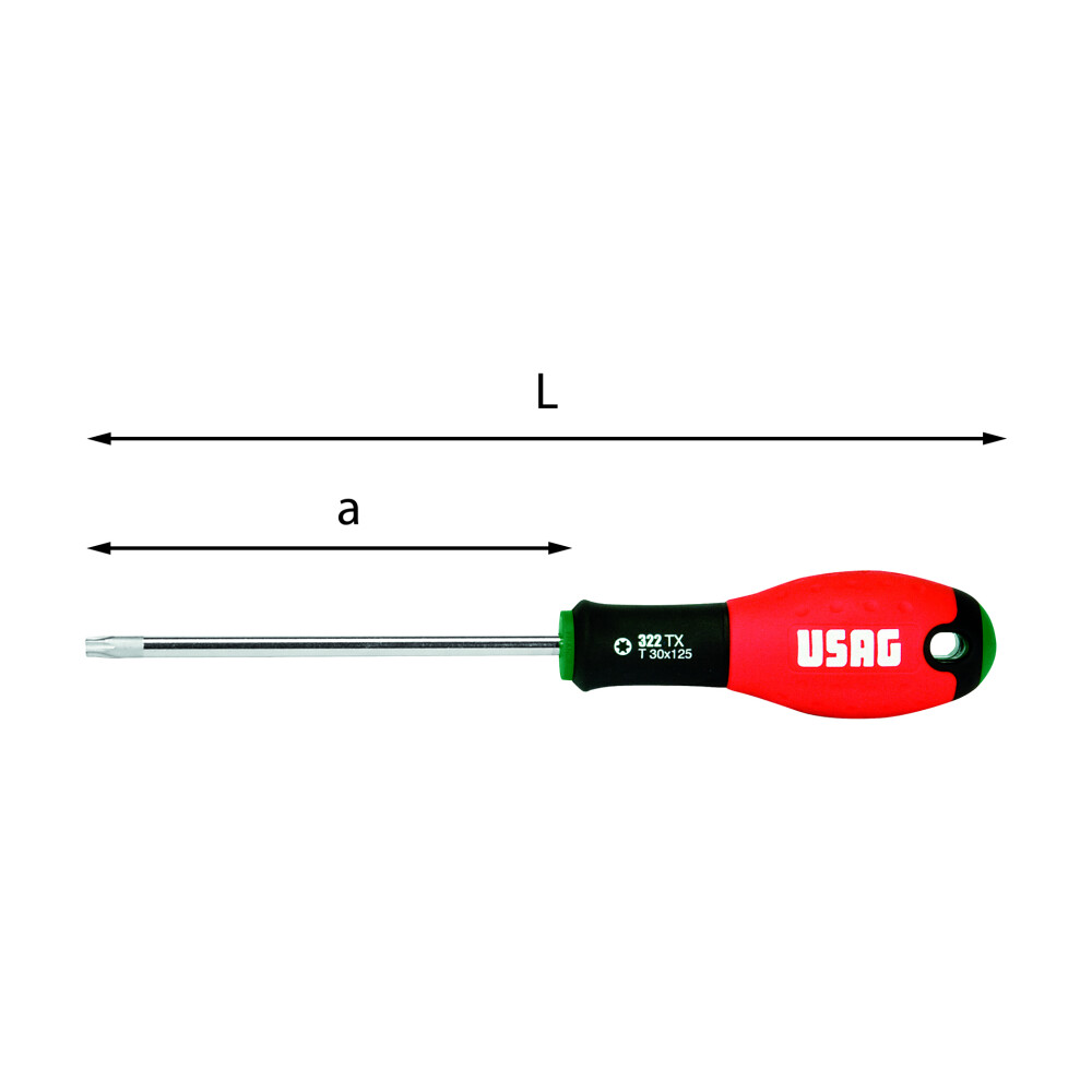 USAG Schroevendraaier TORX Tx20 x 100 322TXT20100
